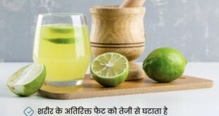 सूक्ष्म पोषण का गहन विज्ञान: शरीर को मिली-जुली खुराक से मिलता है अद्भुत लाभ