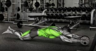 एब रोलआउट व्यायाम: असली कोर स्ट्रेंथ बनाने का वैज्ञानिक तरीका