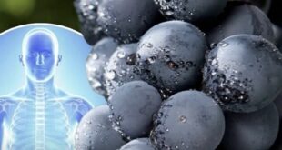 रात को बेहतर नींद के लिए ये फल और सब्जियां बनाएं आपका बेस्ट स्नैक 🌙🍇