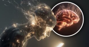 स्मार्टफोन से 72 घंटे दूर रहने से दिमाग में क्या होता है? नई न्यूरोइमेजिंग स्टडी का चौंकाने वाला खुलासा