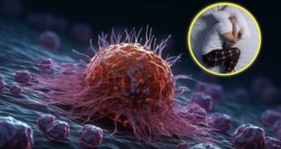 मास्टरबेशन बंद करने के बाद 1 साल में दिमाग और शरीर में क्या-क्या बदलाव आते हैं?